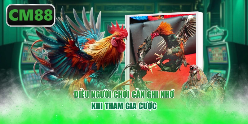 Điều người chơi cần ghi nhớ khi tham gia cược