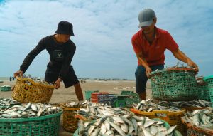 Người chơi bắn cá đang nhắm đàn cá nhỏ ở màn đầu